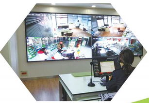 打造食品安全城市典范 東臺(tái)市政府門戶網(wǎng)站專題建設(shè)方案