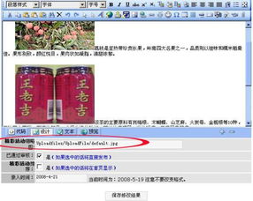 網(wǎng)站建設(shè)的專業(yè)選擇 從國外空間租用到圖片顯示問題的全面解析